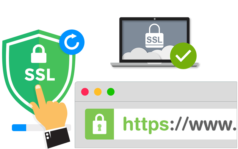 Mastering SSL Certificate Checks: A Step-by-Step Guide